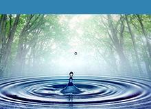qualitywatersupply
